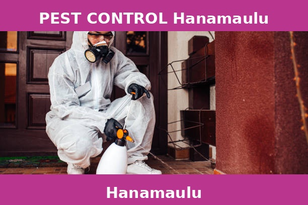 PEST CONTROL Hanamaulu
